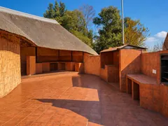 Rhino Lapa photo 6